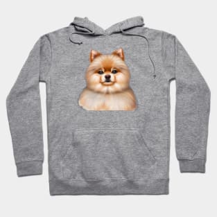 Cute Pomeranian Drawing Hoodie